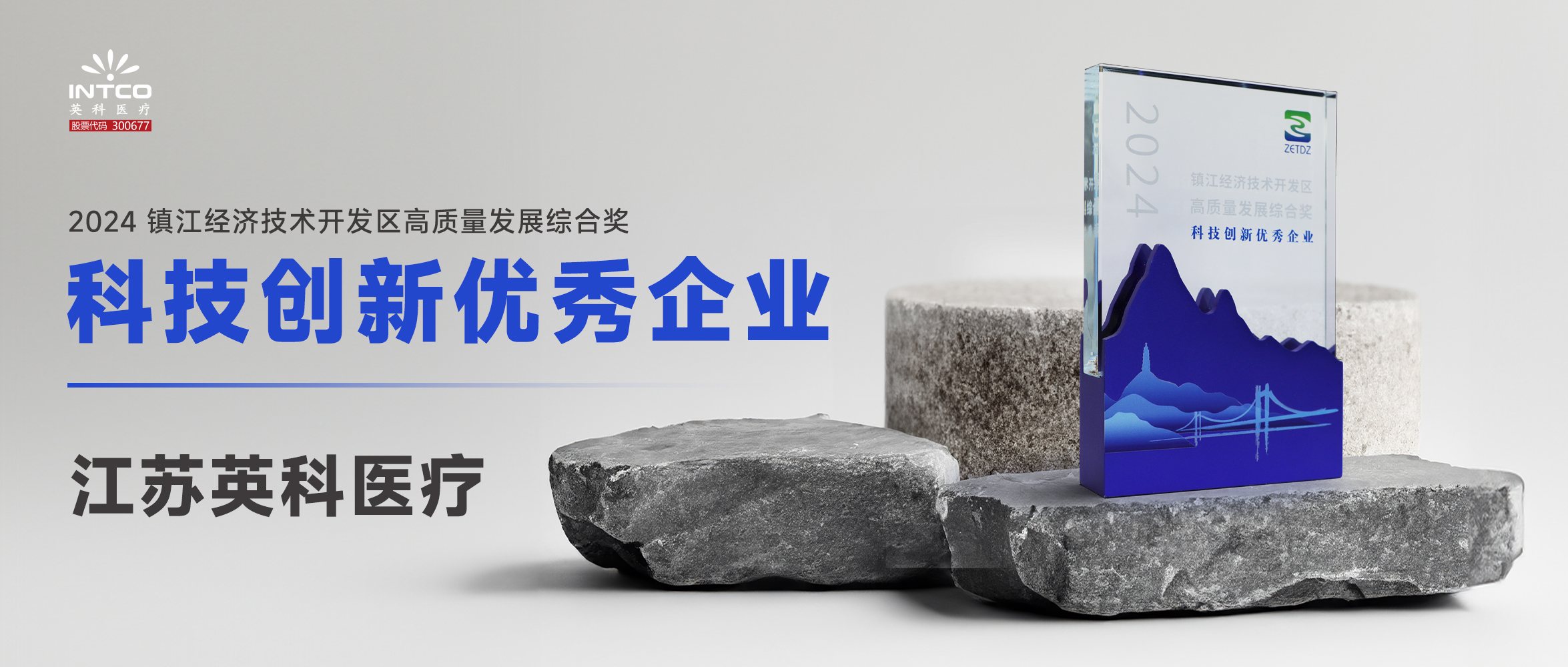 江苏比分365医疗荣膺宜昌经济技术开发区“高质量发展综合奖-科技创新优良企业”