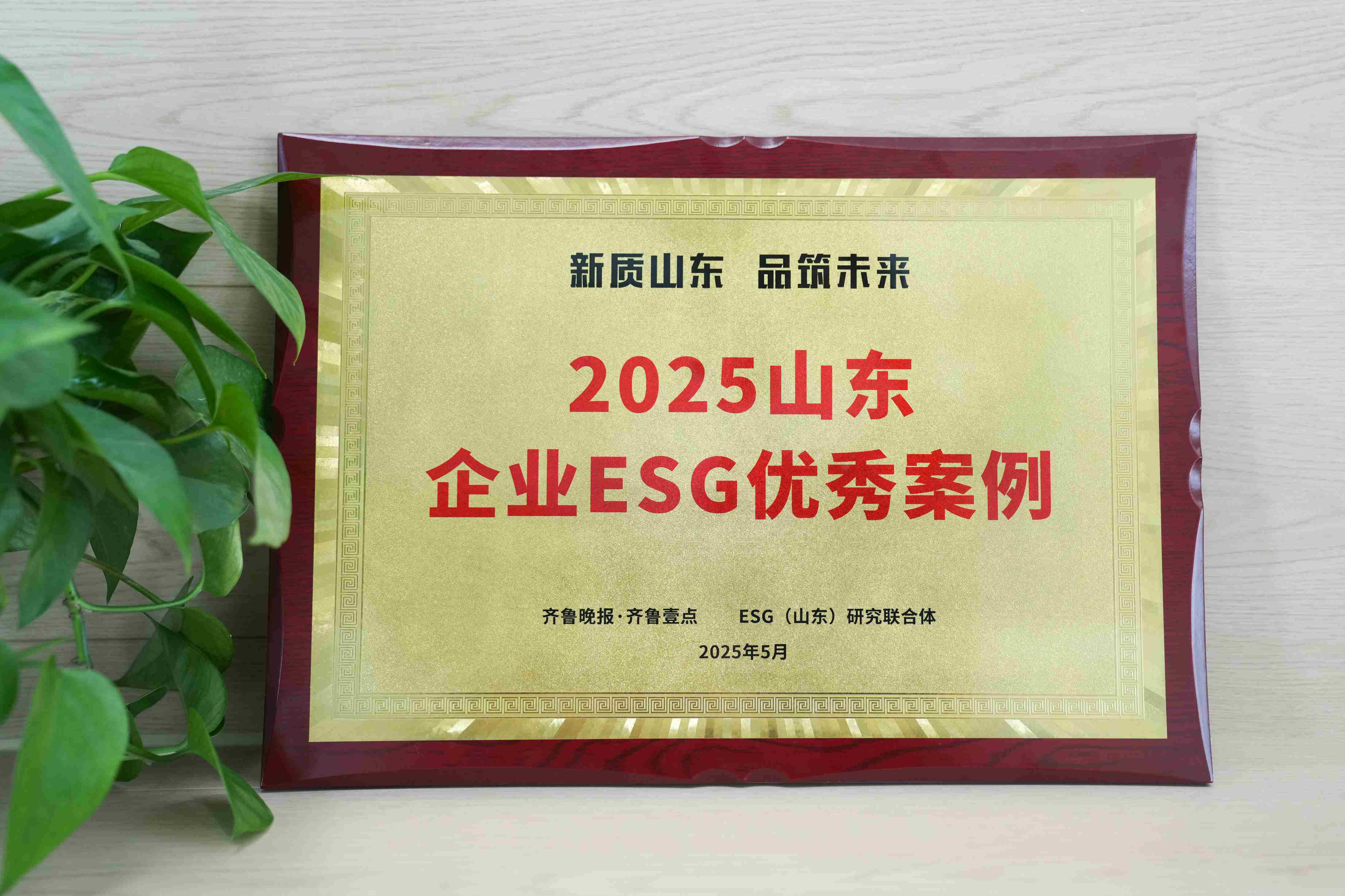 比分365医疗入选2025山东企业ESG优良案例